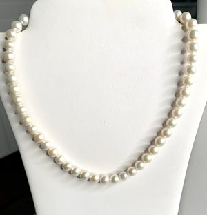 #259 8mm white pearl strung necklace